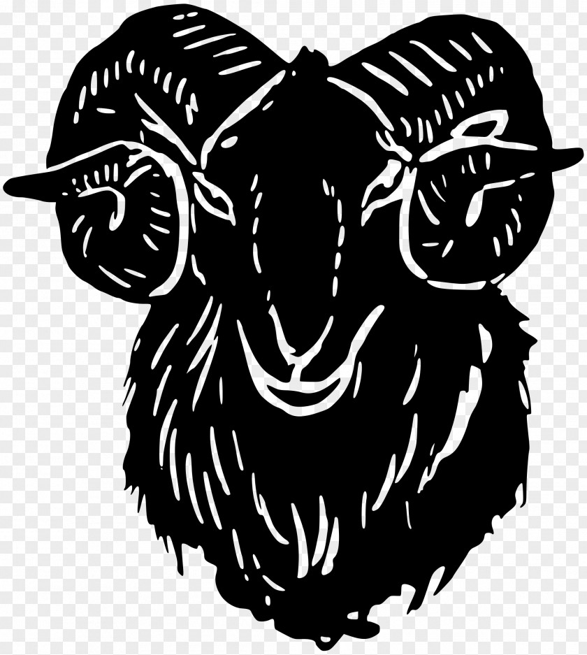 Goat Sheep Drawing Clip Art PNG