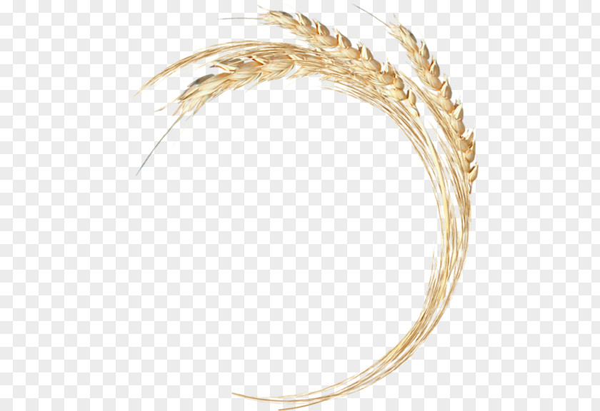 Wheat Ear Clip Art PNG