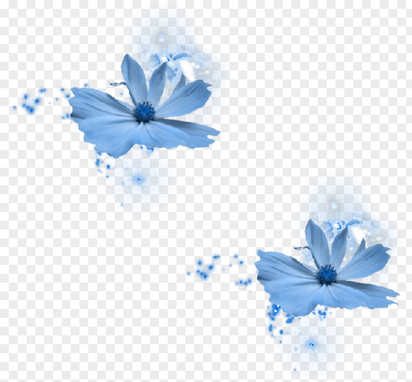 Blue Flower Rose PNG