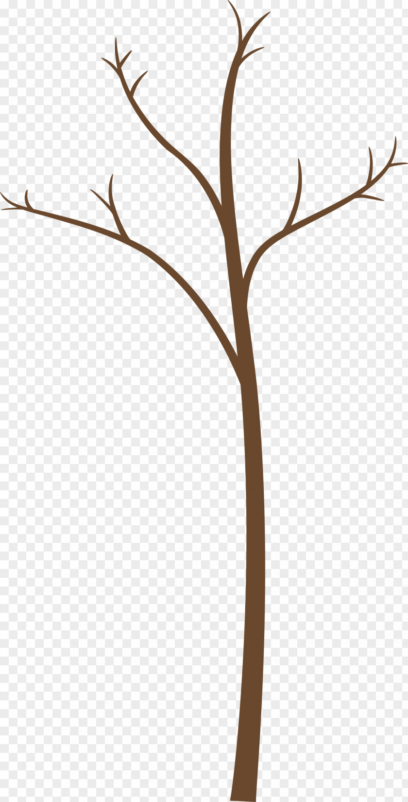 Branch Twig Leaf Plant Stem PNG