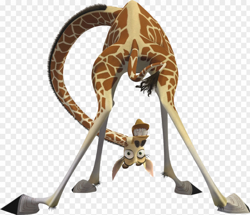 Madagascar Melman Alex Gloria Marty Julien PNG