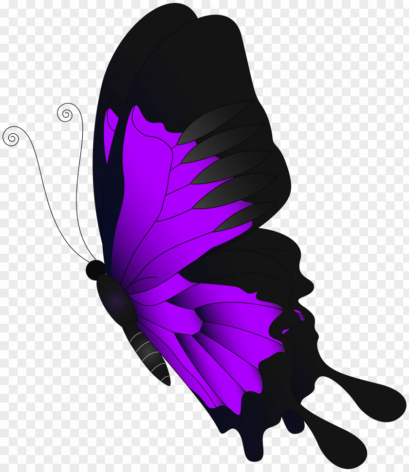 Purple Flying Butterfly Clip Art Chroma Key PNG