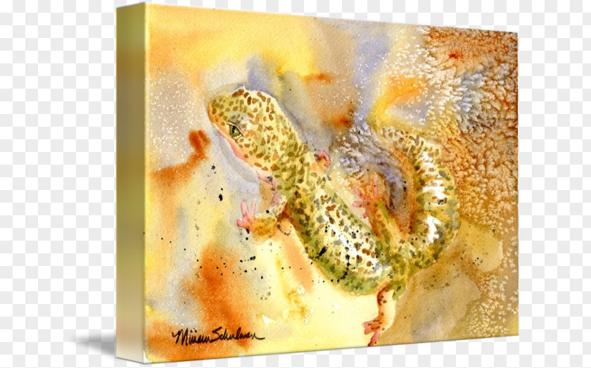 Watercolor Mark Reptile Animal Organism PNG