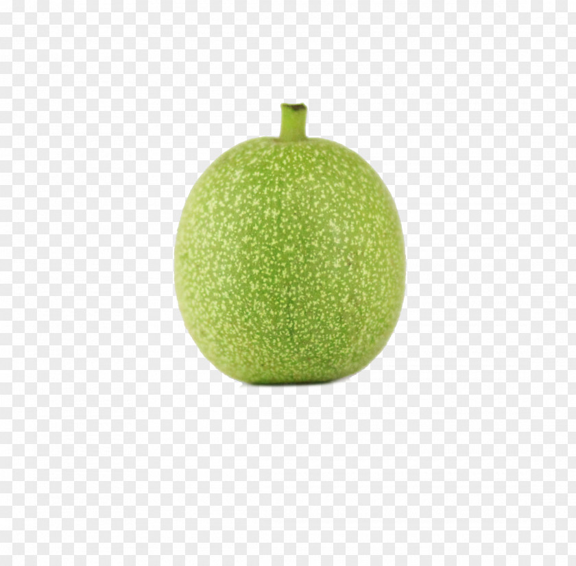 Fresh Green Melon Clip Art PNG