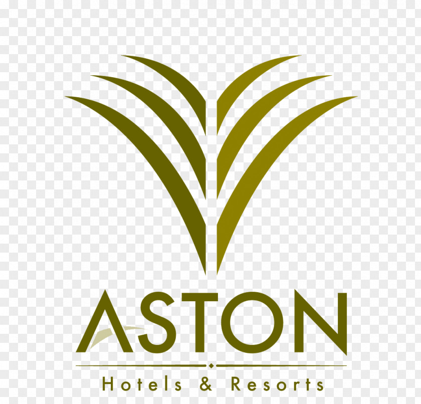 Hotel Condo Aston Hotels & Resorts Archipelago International PNG