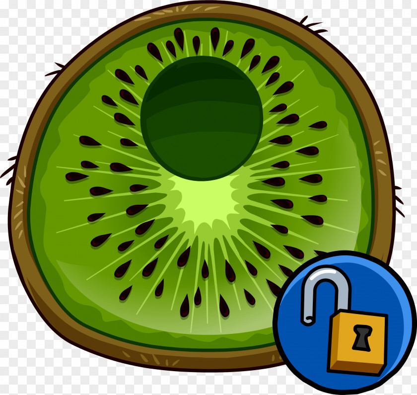 Kiwi Club Penguin Island Kiwifruit Costume PNG