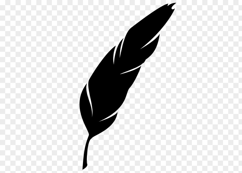 Natural Material Plant Leaf Silhouette PNG