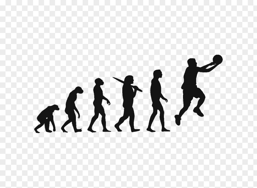 Basketball Player T-shirt Human Evolution Homo Sapiens Biology PNG