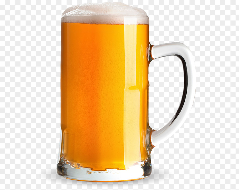 Beer Glasses Wine Cocktail Stein PNG