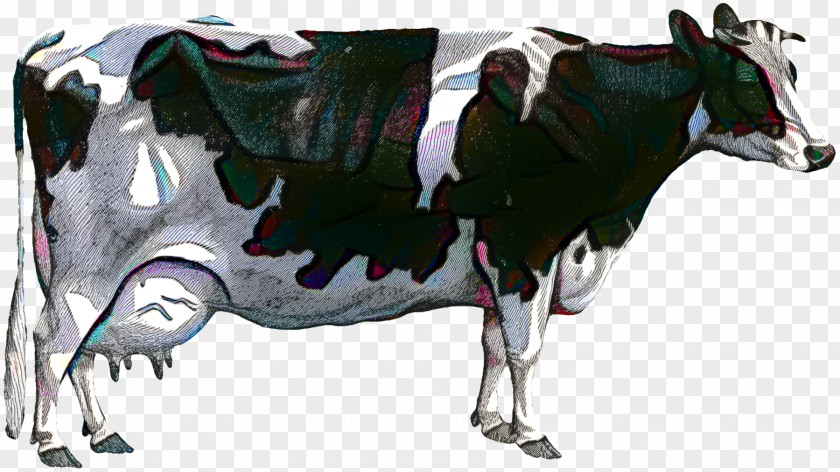 Dairy Cattle Taurine Calf PNG