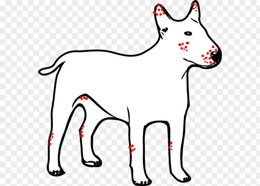Marked Cliparts Dogo Argentino Great Dane Puppy Kong Company Clip Art PNG