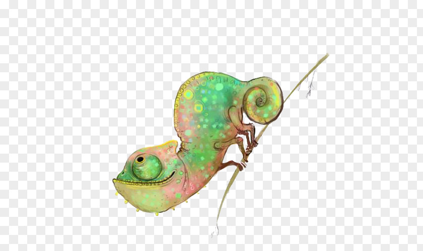 Multicolored Chameleon On A Tree Branch Chameleons Lizard Illustration PNG