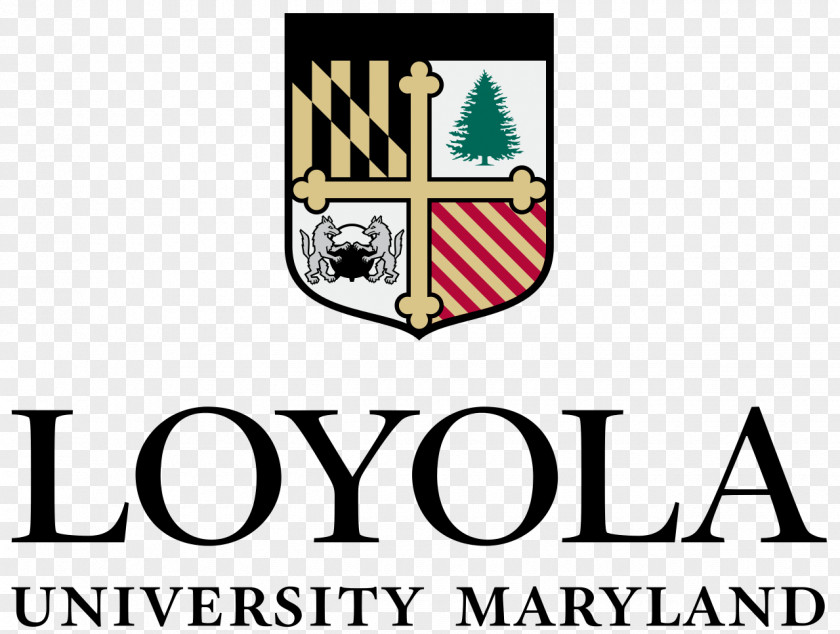 University Loyola Maryland Of Baltimore Master's Degree Education PNG