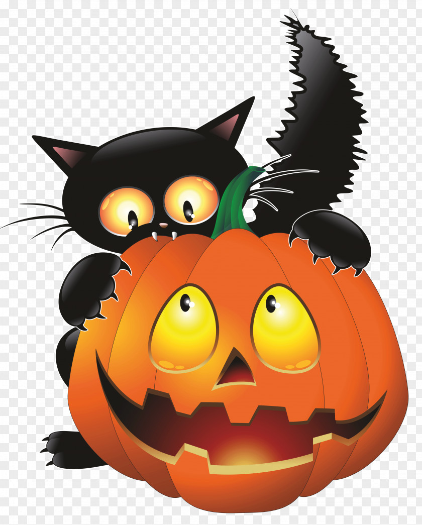 Witch Cat Halloween Clip Art PNG