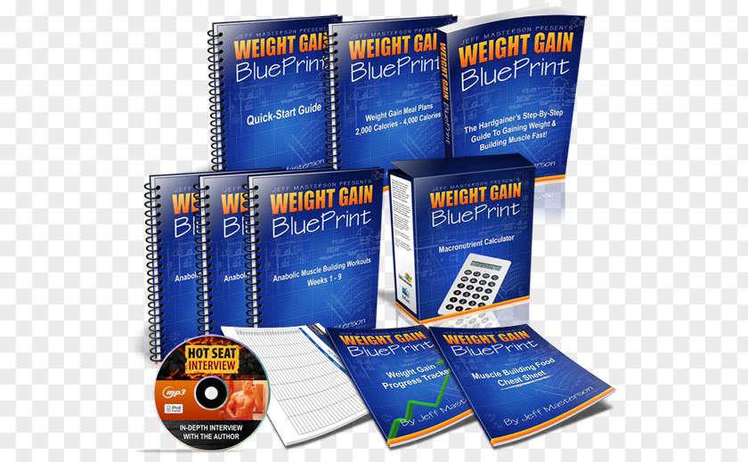 Alphys Weight Gain Loss Exercise Blueprint Download PNG