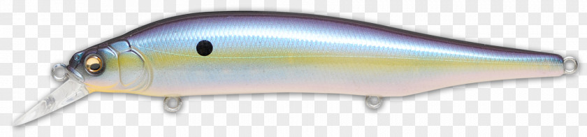 Auto Part Sand Eel Fish Cartoon PNG