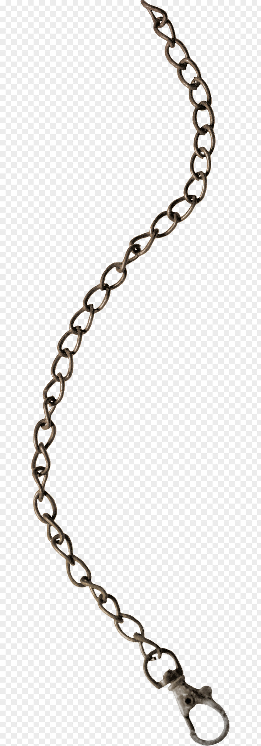 Chain Earring Bracelet Jewellery Gourmette PNG