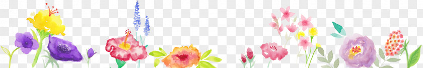 Flower Header Petal Page Footer PNG