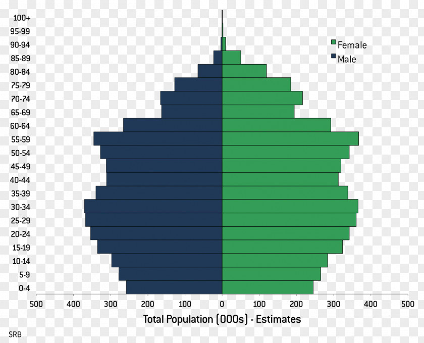 Full Year Total Fertility Rate Population Pyramid Literacy Japan PNG