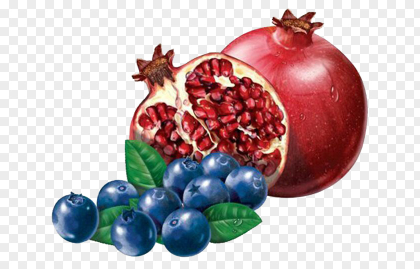 Pomegranate Blueberry Cranberry Frutti Di Bosco Fruit Illustration PNG