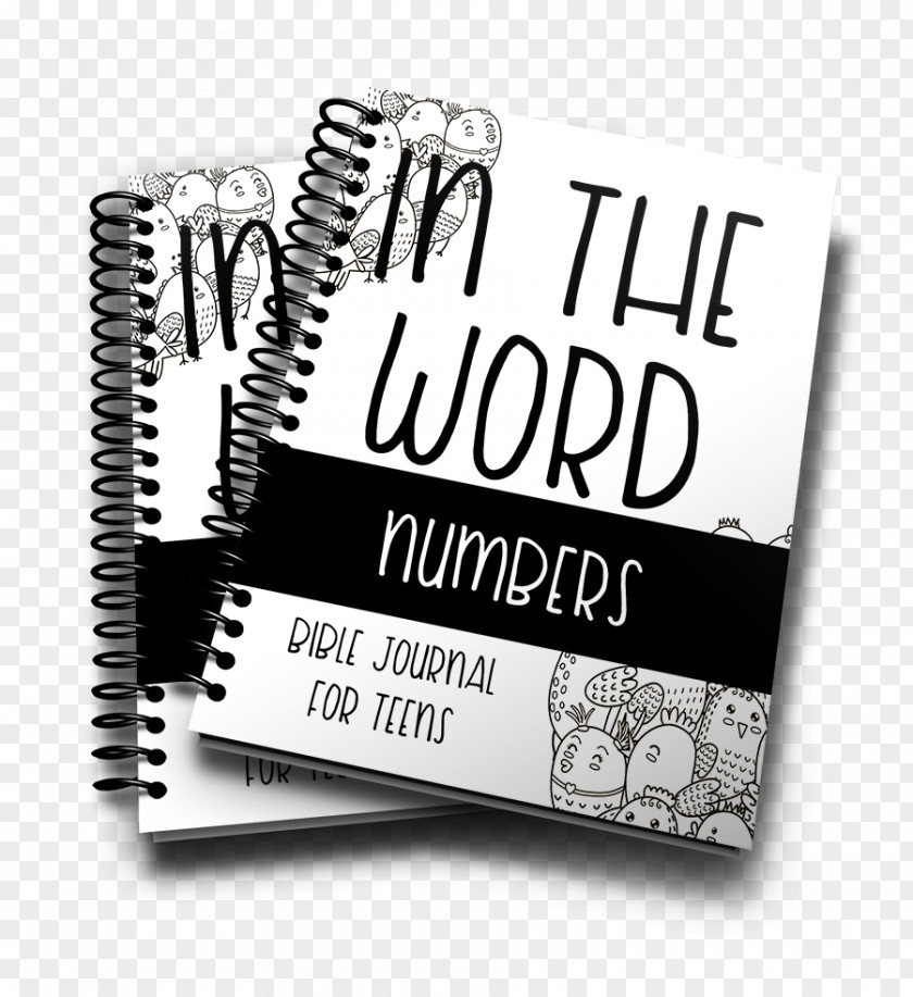 Ruth Bible Puzzles NIV Journal The Word Bible: Reflect, Journal, Or Create Art Next To Your Favorite Verses God's Translation King James Version Of Old And New Testament Books Samuel PNG