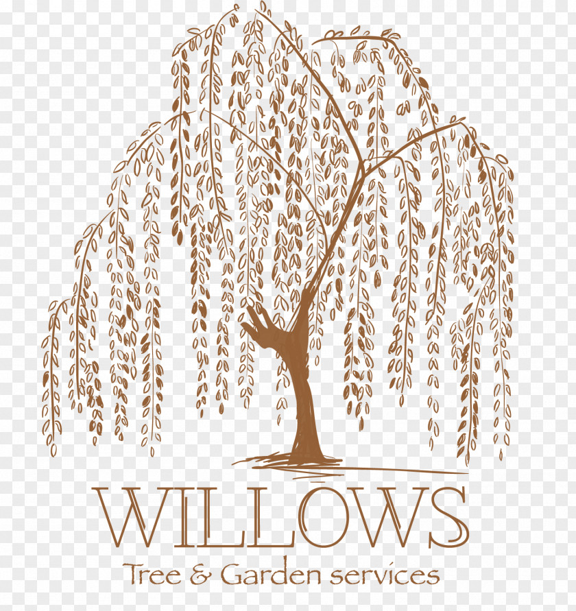 Tree Weeping Willow Tattoo Artist Drawing PNG