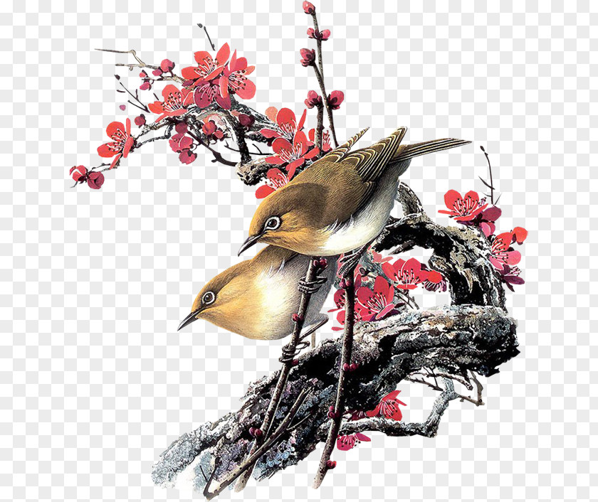 Bird Oil Painting PNG