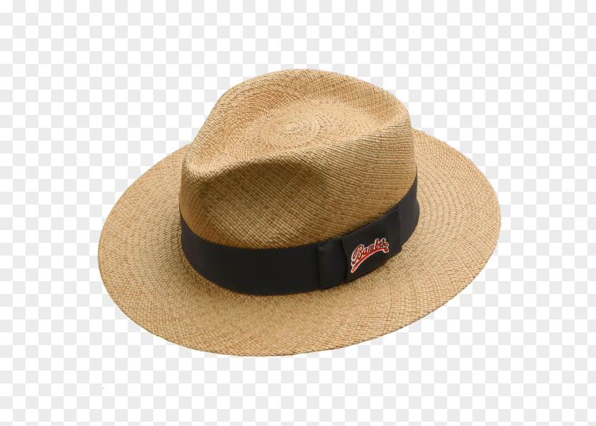 Cap Fedora Panama Hat Kepi PNG
