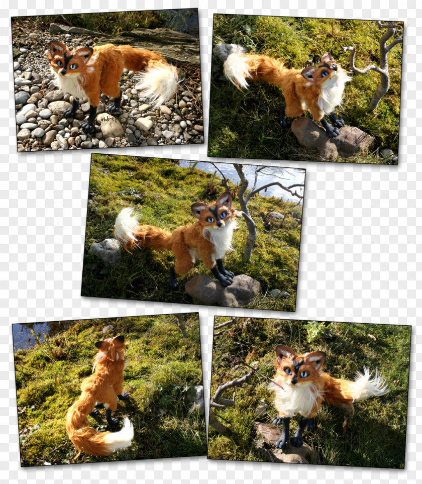 Collage Wildlife Fauna Flora Red Fox PNG