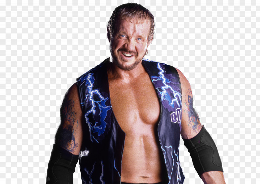 Diamond Dallas Page WWE 2K17 Professional Wrestler Hall Of Fame PNG of Fame, 200 clipart PNG