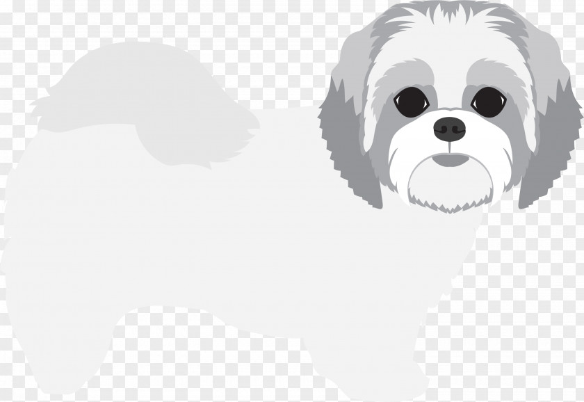 Snout Companion Dog Breed Maltese Shih Tzu PNG