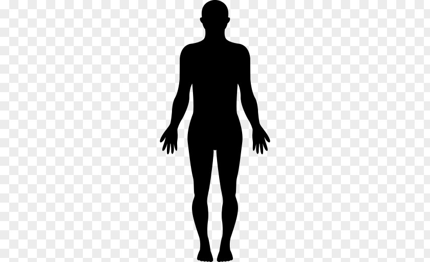 Back Muscle Standing Silhouette Male Joint Human PNG
