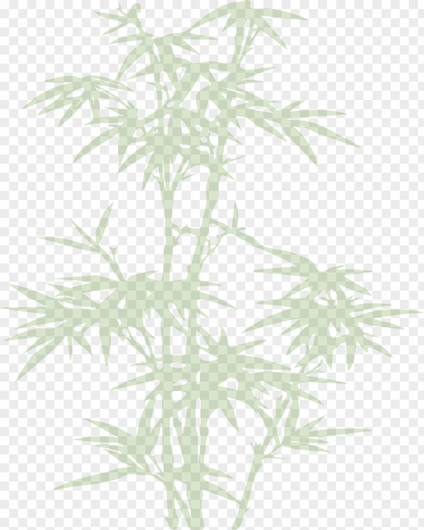Bamboo Joëlle COUARD Plant PNG