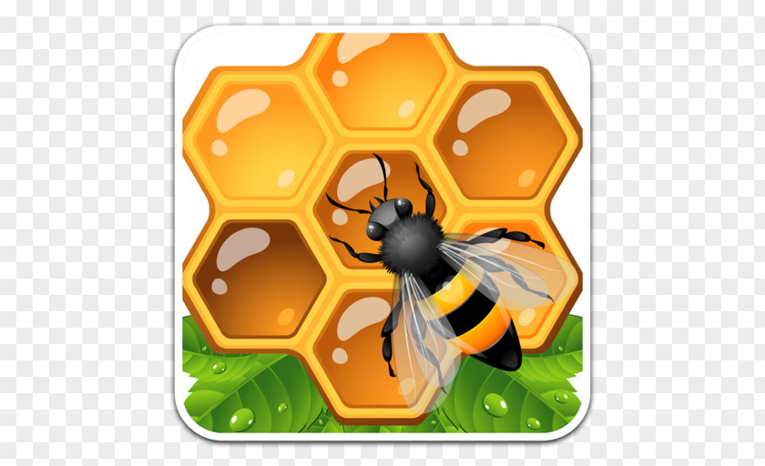 Bee Honey Honeycomb Clip Art PNG