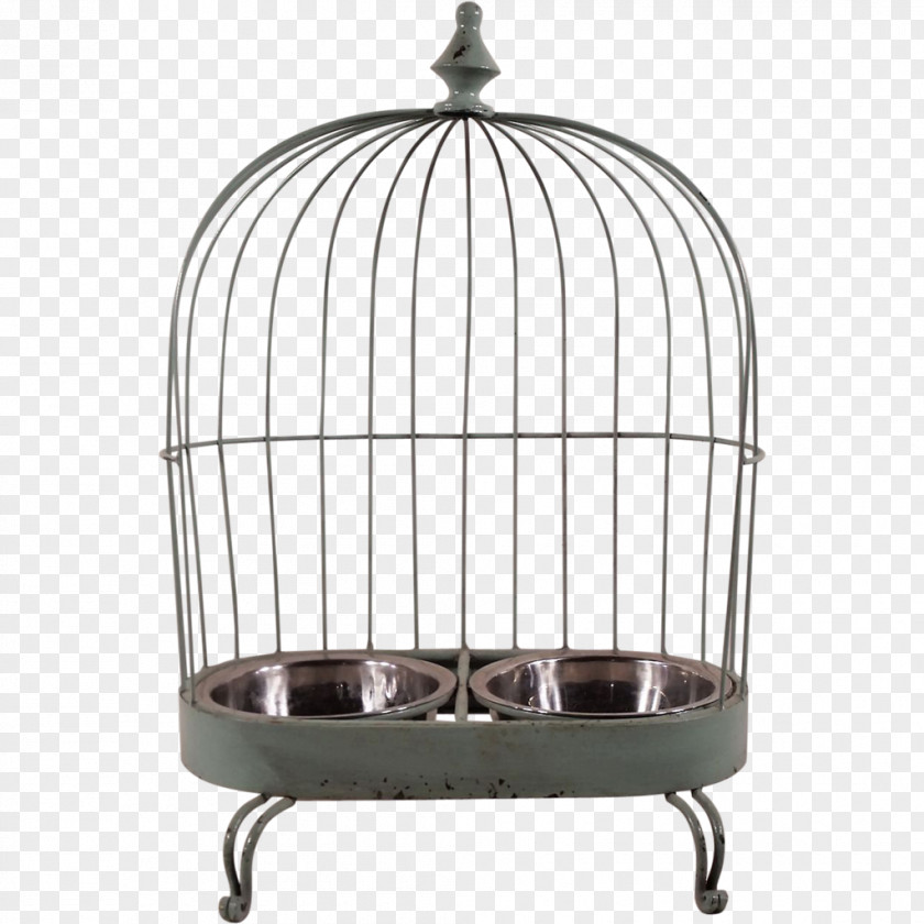 Birdcage Vintage Clothing PNG