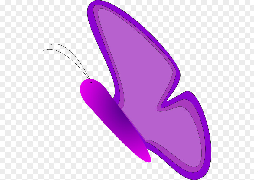 Butterfly Clip Art School Illustration Image PNG
