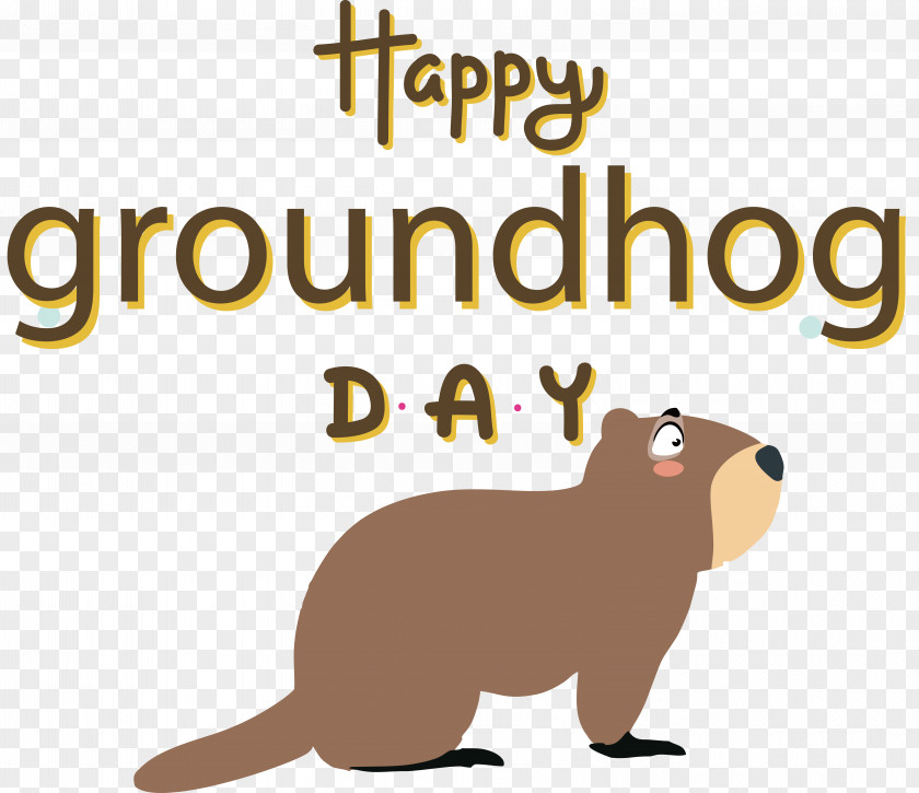 Cat Rodents Small Beaver Muroids PNG