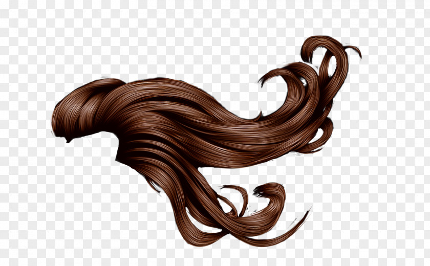 Mermaid Tail Red Hair Long Wig PNG