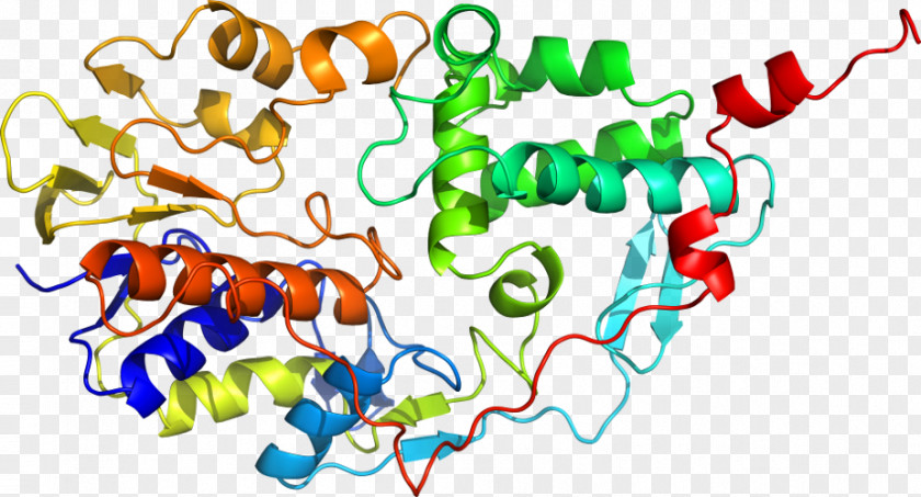 Shkola Khorarnoy Astrologii Marka Rusborna Monoamine Oxidase Moscow State University Scientist Nature PNG