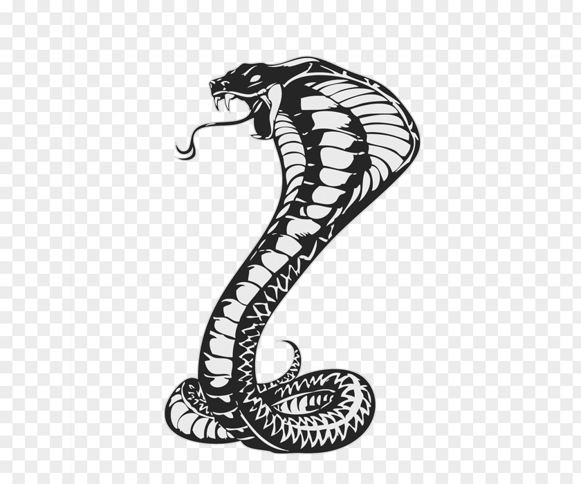 Tattoo Snake Snakes Drawing King Cobra Cobras PNG