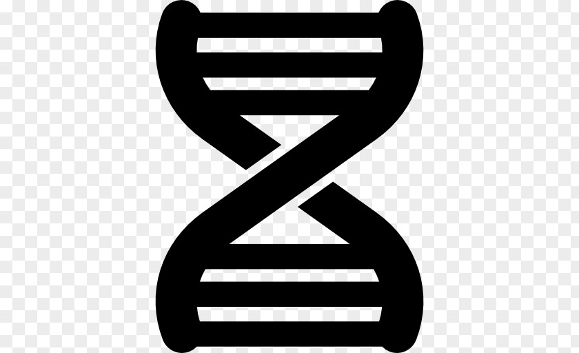 Basic Helixloophelix DNA Stock Photography Nucleic Acid Double Helix Molecular Structure Of Acids: A For Deoxyribose PNG