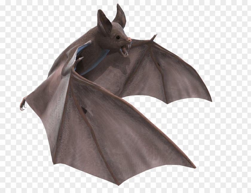 Bat Clip Art Openclipart Image PNG