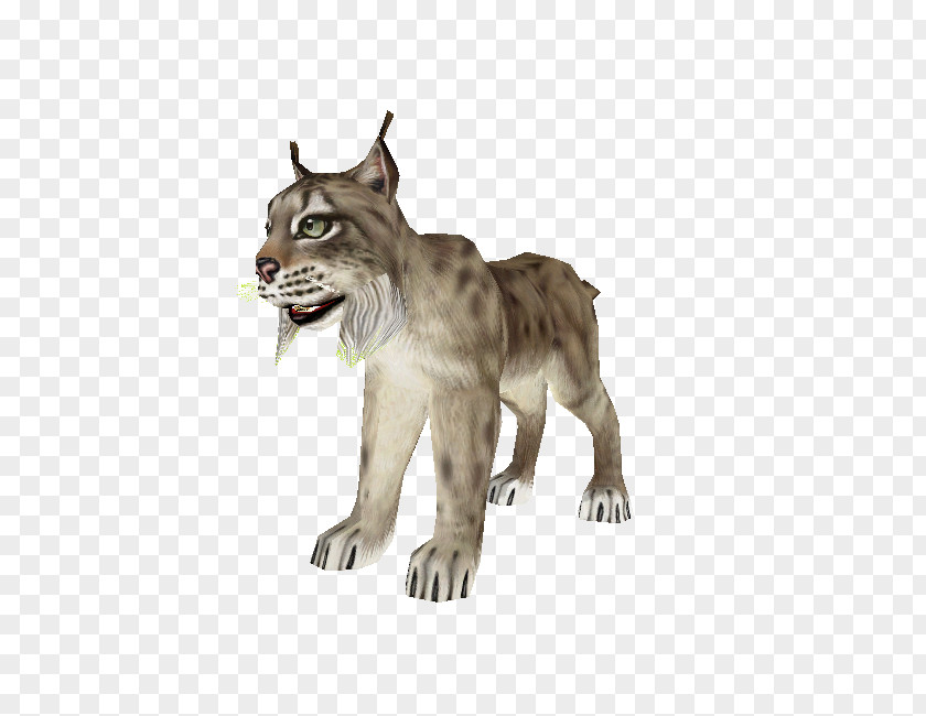 Cat Cougar Big Terrestrial Animal Fur PNG