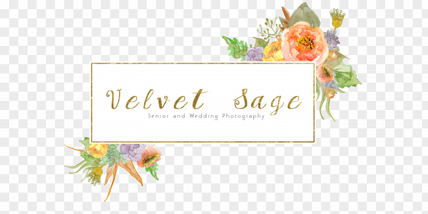 Design Petal Logo Greeting & Note Cards Floral PNG
