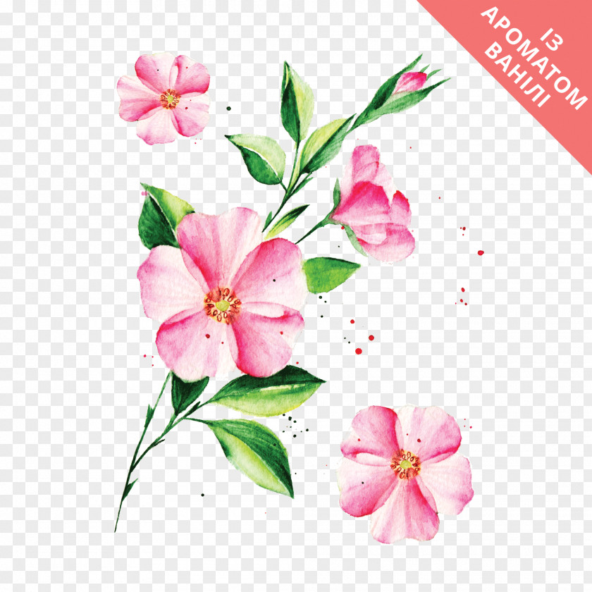 Flower Abziehtattoo Floral Design Plants PNG