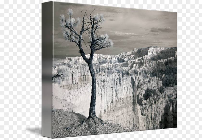 Landscape Painting Bryce Canyon National Park Gallery Wrap /m/083vt Monochrome Photography PNG