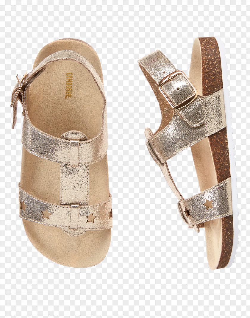 Sandal Shoe Gymboree Ballet Flat Clothing PNG
