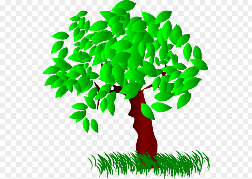 Summer Tree Cliparts Quercus Bicolor Swamp Spanish Oak Pruning Clip Art PNG