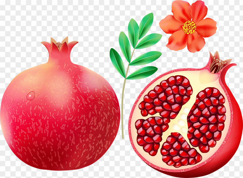 Berry Food Natural Foods Pomegranate Fruit Accessory Superfruit PNG