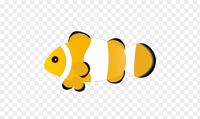 Design Web Ocellaris Clownfish Nemo PNG